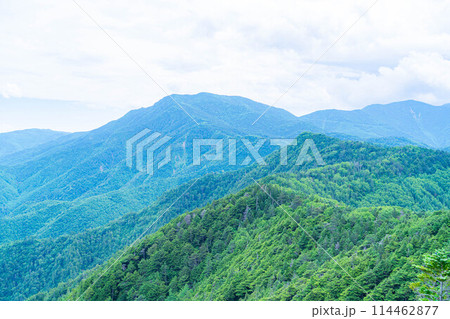 【山岳素材】夏の国師岳から見る山岳風景【山梨県】 114462877