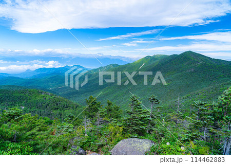【山岳素材】夏の国師岳から見る山岳風景【山梨県】 【山岳素材】夏の国師岳から見る山岳風景【山梨県】 114462883