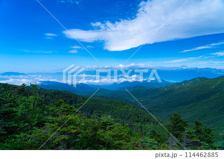 【山岳素材】夏の国師岳から見る山岳風景【山梨県】 114462885