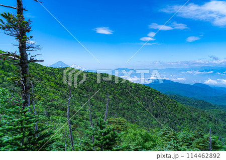 【山岳素材】夏の国師岳から見る山岳風景【山梨県】 114462892