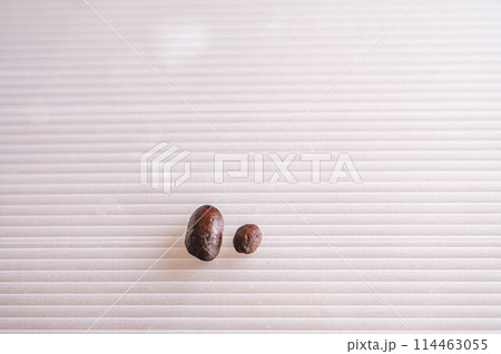 コーヒー豆　大小 114463055