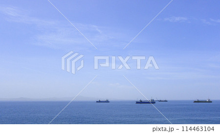 沖縄の美ら海(海洋博記念公園) 114463104