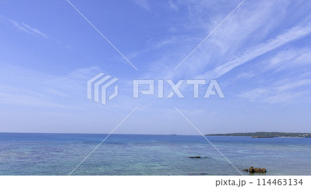 沖縄の美ら海(海洋博記念公園) 沖縄の美ら海(海洋博記念公園) 114463134