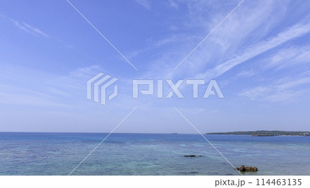 沖縄の美ら海(海洋博記念公園) 沖縄の美ら海(海洋博記念公園) 114463135