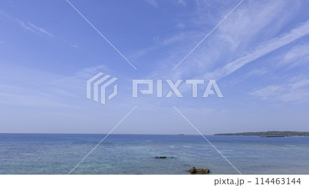 沖縄の美ら海(海洋博記念公園) 114463144