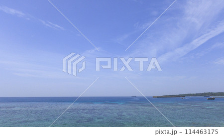 沖縄の美ら海(海洋博記念公園) 沖縄の美ら海(海洋博記念公園) 114463175