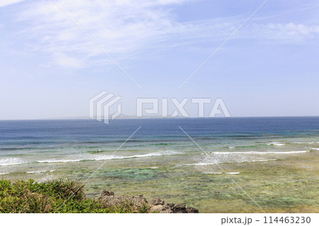 沖縄の美ら海(海洋博記念公園) 114463230