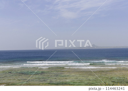 沖縄の美ら海(海洋博記念公園) 114463241