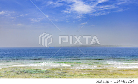 沖縄の美ら海(海洋博記念公園) 沖縄の美ら海(海洋博記念公園) 114463254