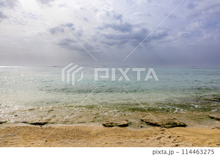 沖縄の美ら海(海洋博記念公園) 114463275