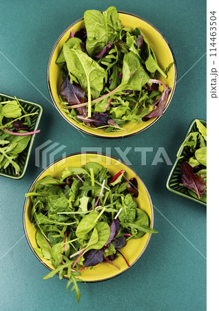 Vegan green salad. 114463504