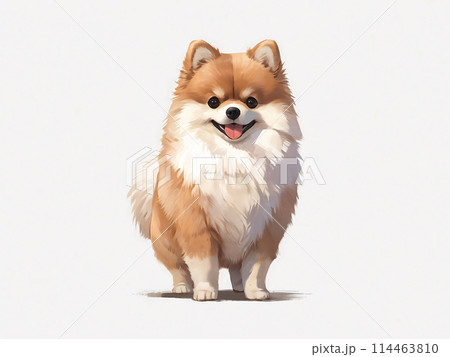 ポメラニアン　イラスト [AI生成・プロ仕上げ] 114463810