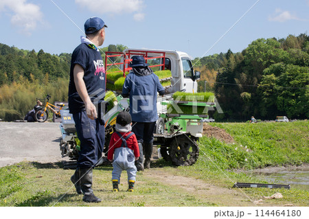 家族で田植え　観察する子供 114464180