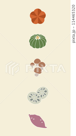 秋野菜 秋野菜 114465320