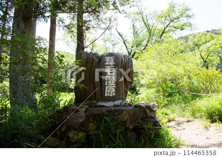 葦毛湿原の入口(愛知県豊橋市) 葦毛湿原の入口(愛知県豊橋市) 114465358