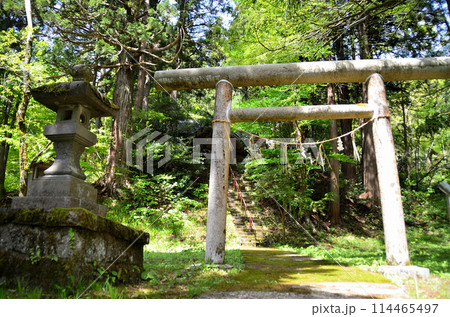 新潟県上越市安塚区坊金　坊金(ぼうがね)神社 114465497