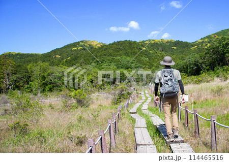 葦毛湿原（愛知県豊橋市） 114465516