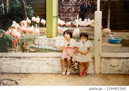 昭和50年代　フラミンゴの前で記念撮影をする姉妹 114465568