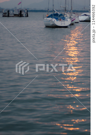 早朝の滋賀県大津市柳が崎ヨットハーバーを撮影したもの 114466392