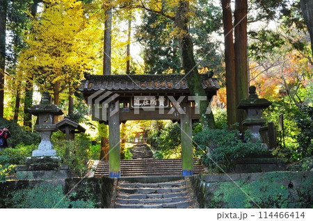 鎌倉市　浄智寺の山門と参道と黄葉 114466414
