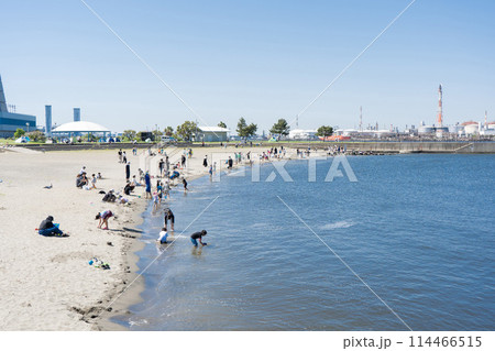 東扇島東公園内の人工海浜(かわさきの浜)で潮干狩り 114466515