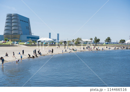 東扇島東公園内の人工海浜(かわさきの浜)で潮干狩り 東扇島東公園内の人工海浜(かわさきの浜)で潮干狩り 114466516