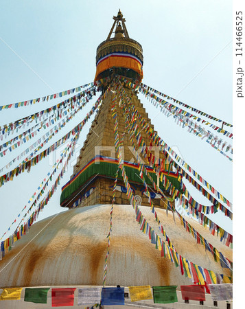 Boudhanath Buddhist Stupa - Kathmandu in Nepal 114466525