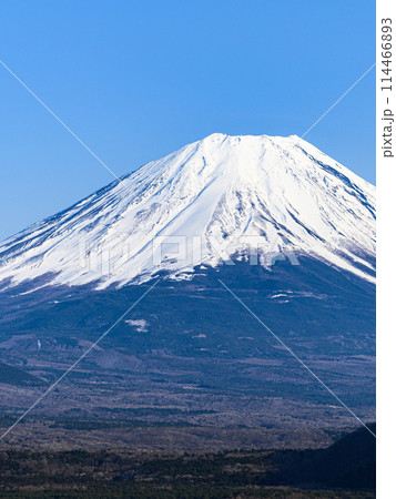 本栖湖より望む春の富士山・絶景 114466893
