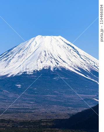 本栖湖より望む春の富士山・絶景 114466894