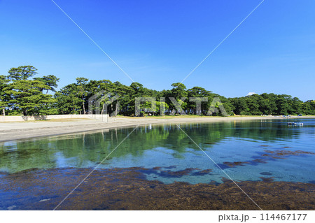 戸田漁港から望む冠雪の富士山 114467177