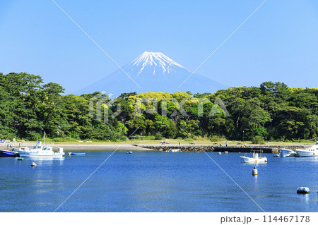 戸田漁港から望む冠雪の富士山 114467178