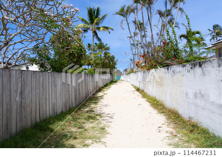 【ハワイ】快晴のラニカイビーチ 114467231