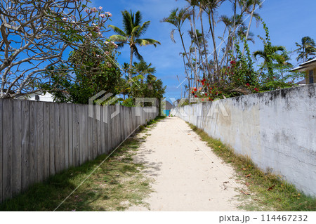 【ハワイ】快晴のラニカイビーチ 114467232