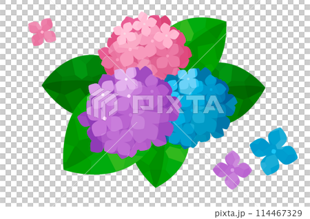 3色繡球花插畫 114467329