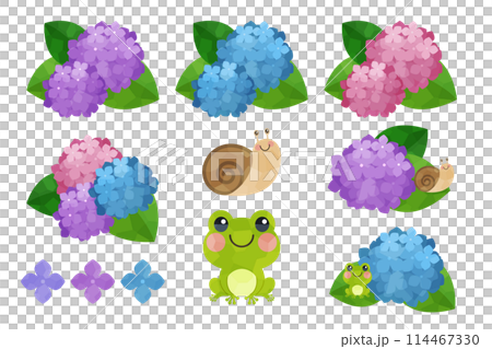 紫陽花とかえるとかたつむりのイラストセット 114467330