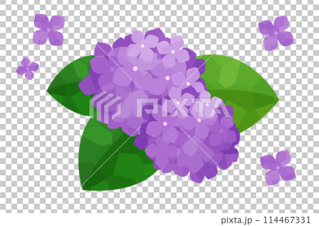 Simple hydrangea illustration Simple hydrangea illustration 114467331