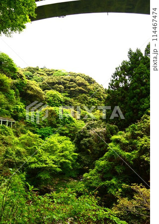 渓谷橋　@mar_lapin 114467474