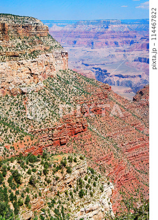 Blue Sky Day At The Grand Canyon Arizona on Film 114467822