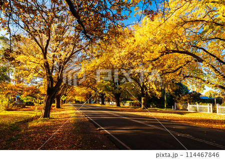 Glenlyon Main Street in Victoria Australia 114467846