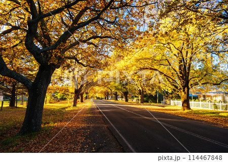 Glenlyon Main Street in Victoria Australia Glenlyon Main Street in Victoria Australia 114467848