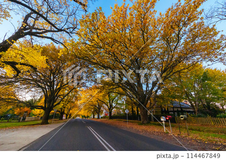 Glenlyon Main Street in Victoria Australia Glenlyon Main Street in Victoria Australia 114467849