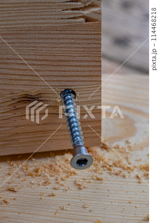 a partially twisted confirmation into a freshly drilled hole in the board a partially twisted confirmation into a freshly drilled hole in the board 114468218