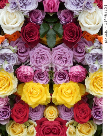 カラフルなバラの花 114468251