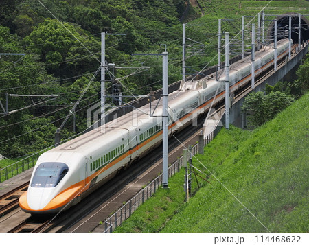 台湾高速鉄道　700T型　快官　高鐵景觀橋にて 114468622