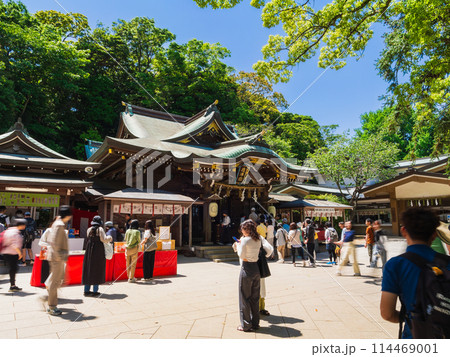 江島神社　辺津宮 114469001