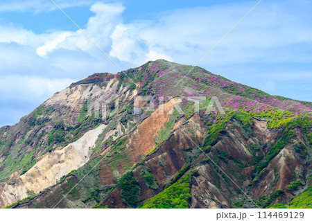 阿蘇パノラマライン道路から観える烏帽子岳とミヤマキリシマの花　(阿蘇山中岳・阿蘇火口への道) 114469129