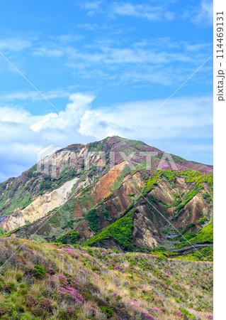阿蘇パノラマライン道路から観える烏帽子岳とミヤマキリシマの花　(阿蘇山中岳・阿蘇火口への道) 114469131