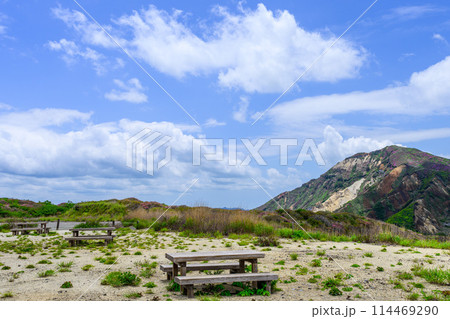 阿蘇パノラマラインから観える　新緑に映えるミヤマキリシマの花　(阿蘇山中岳・阿蘇火口への道) 114469290