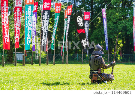 長篠合戦のぼりまつり、火縄銃の演武〈愛知県新城市〉 114469605