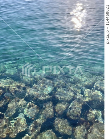 熱海海岸 114469621